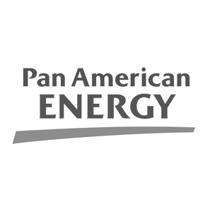 logo-PAE